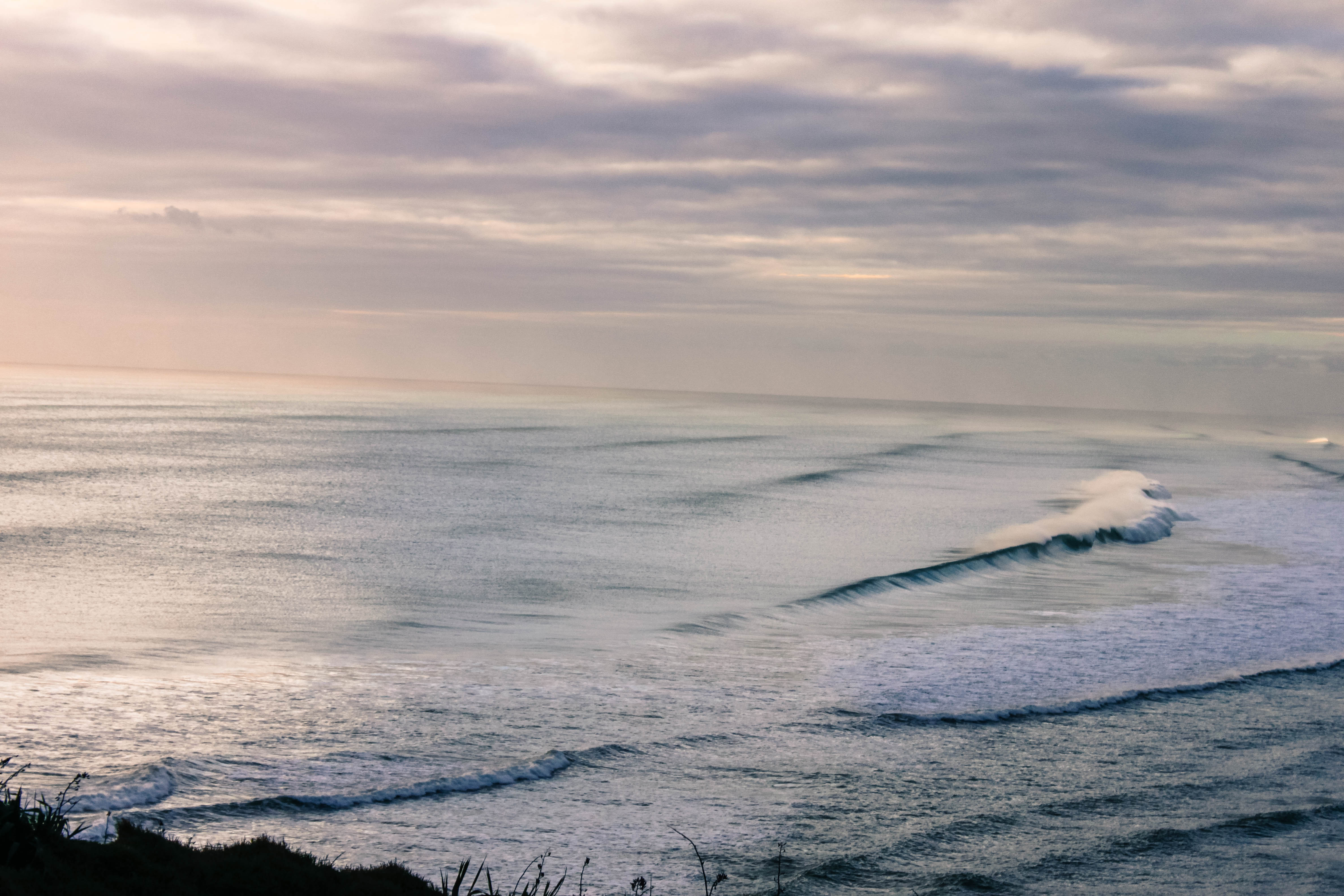 Explore Muriwai Beach