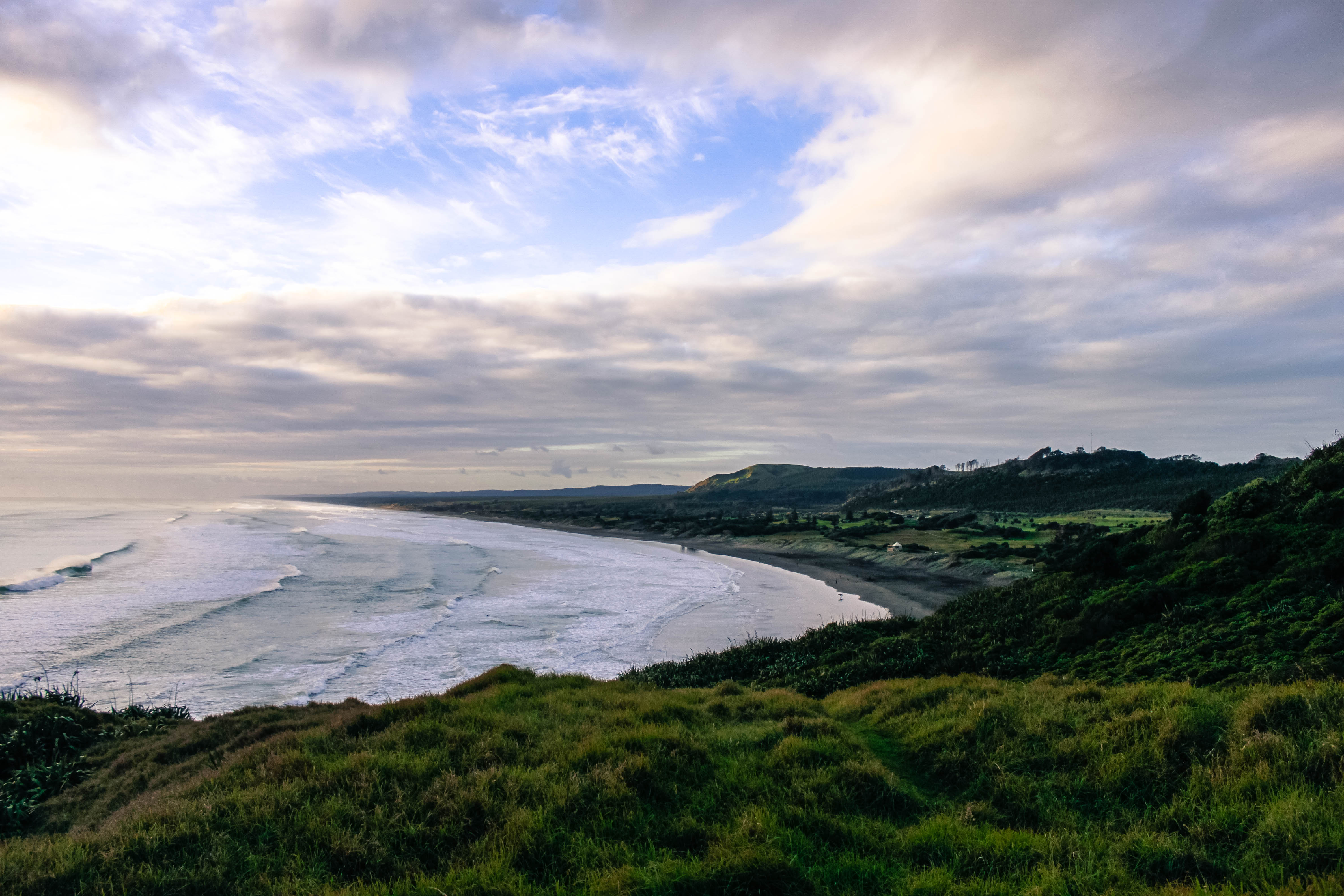 Explore Muriwai Beach