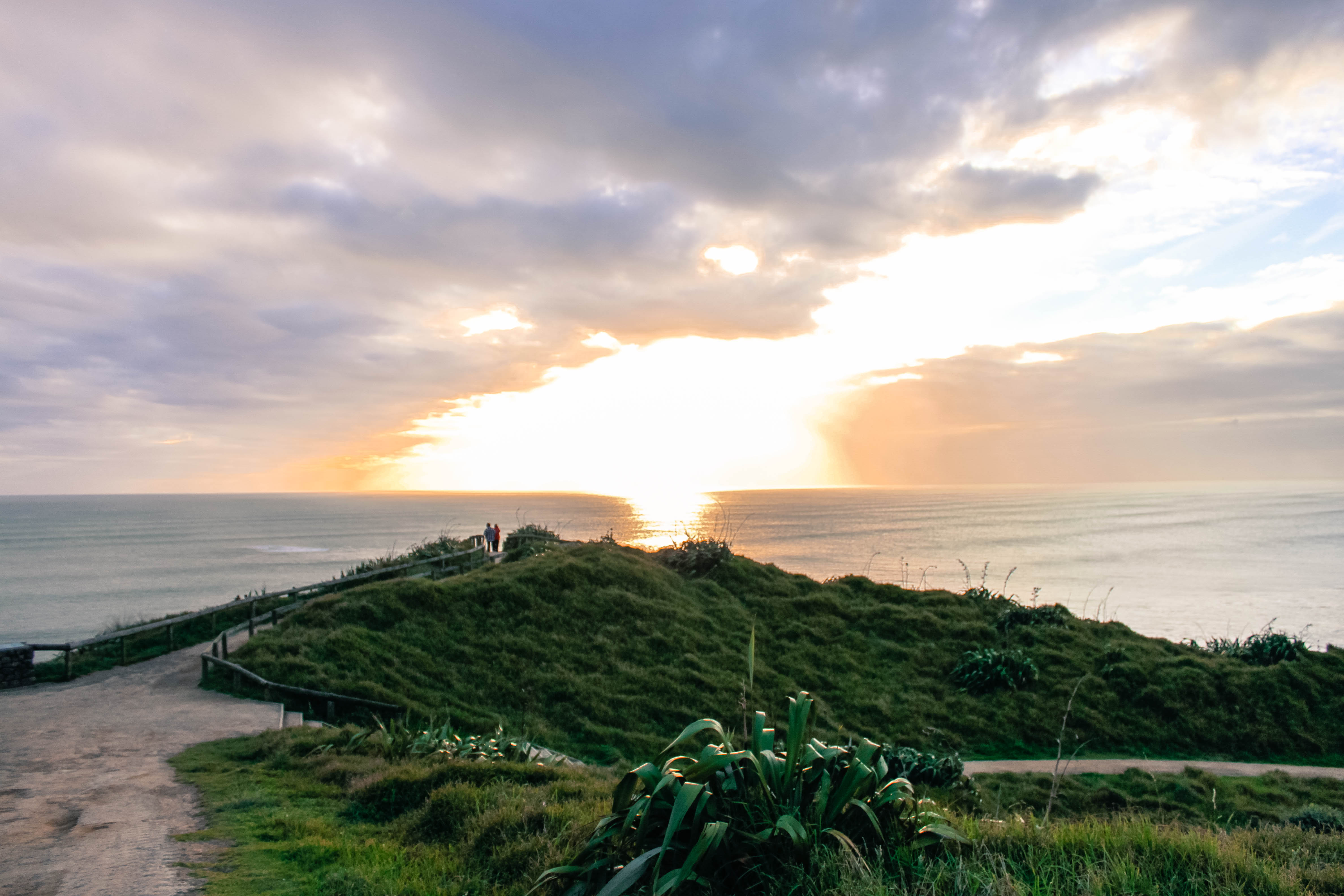 Explore Muriwai Beach
