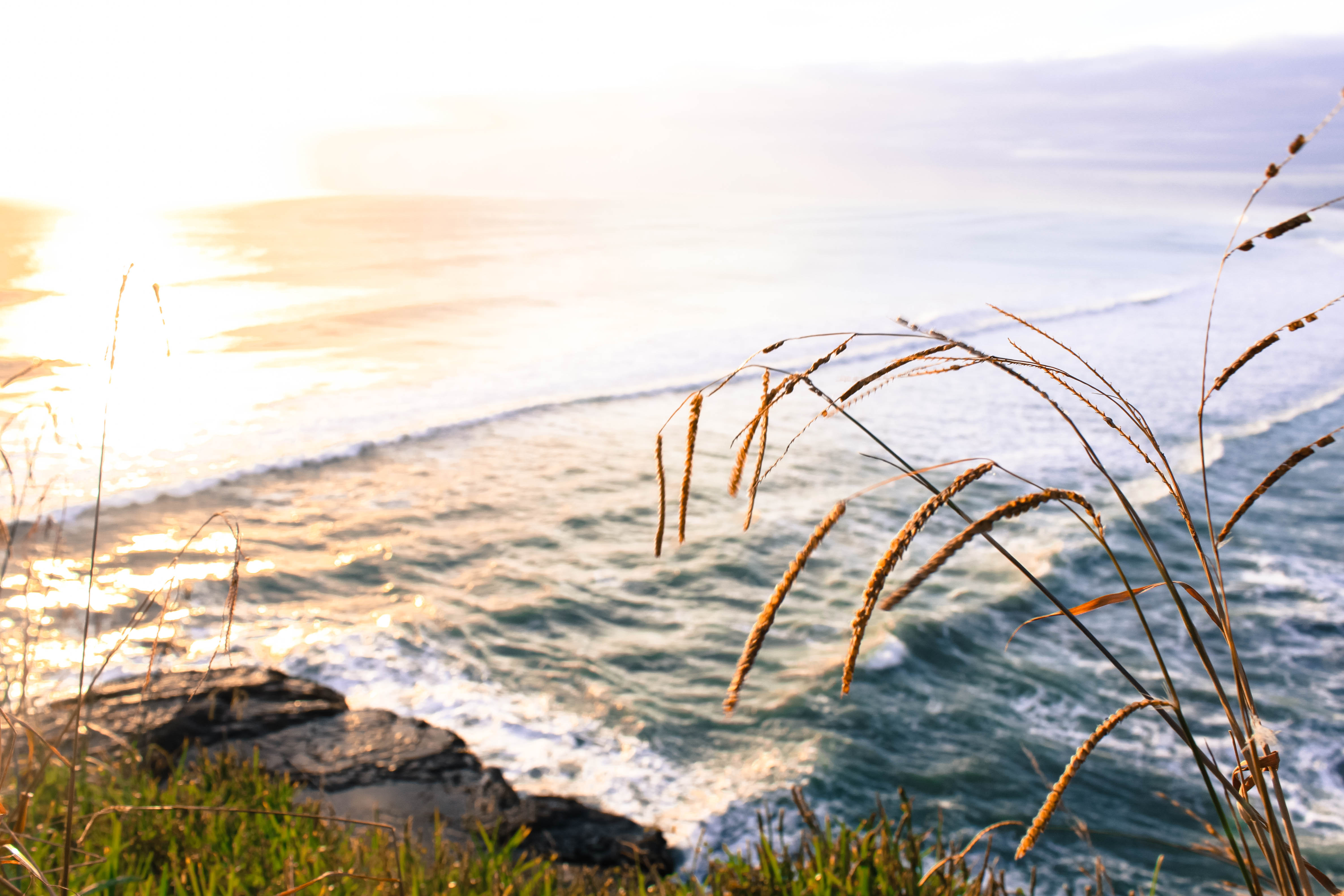 Explore Muriwai Beach