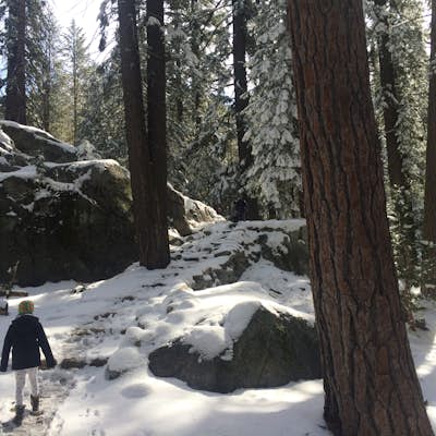 Hike to Tokopah Falls in Sequoia National Park