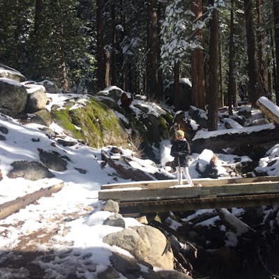 Hike to Tokopah Falls in Sequoia National Park