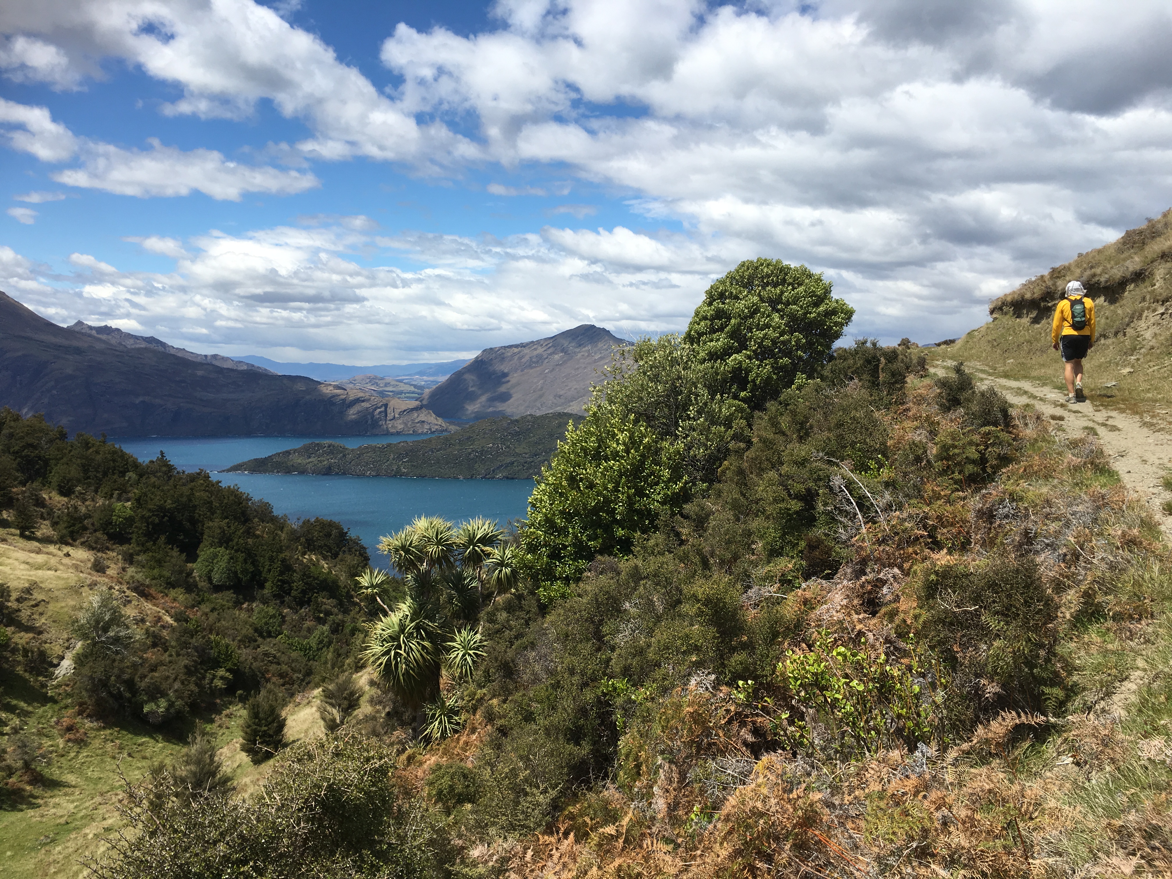 Hike the Minaret Burn Track