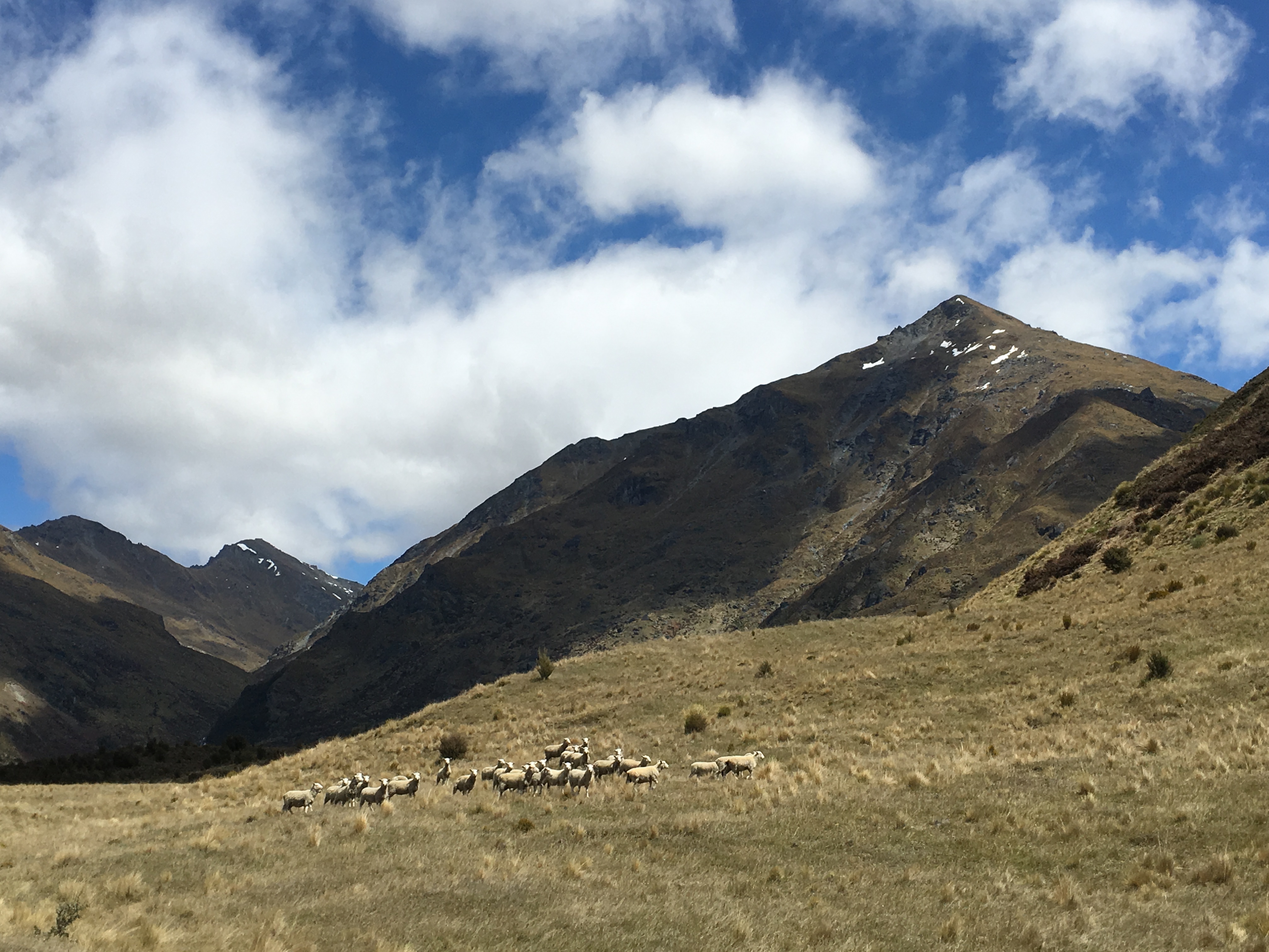 Hike the Minaret Burn Track