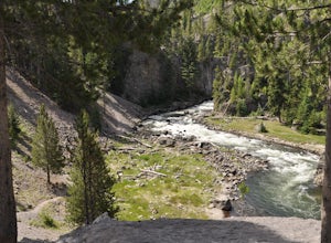 Swim in the Firehole River