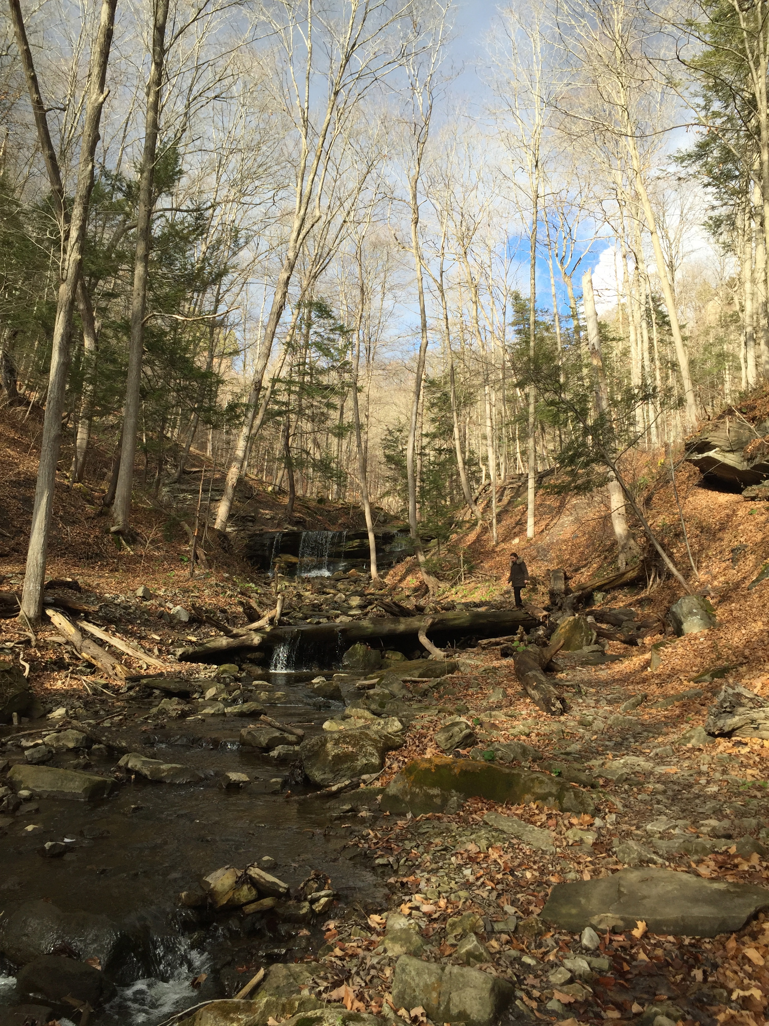 Hike to Tews Falls