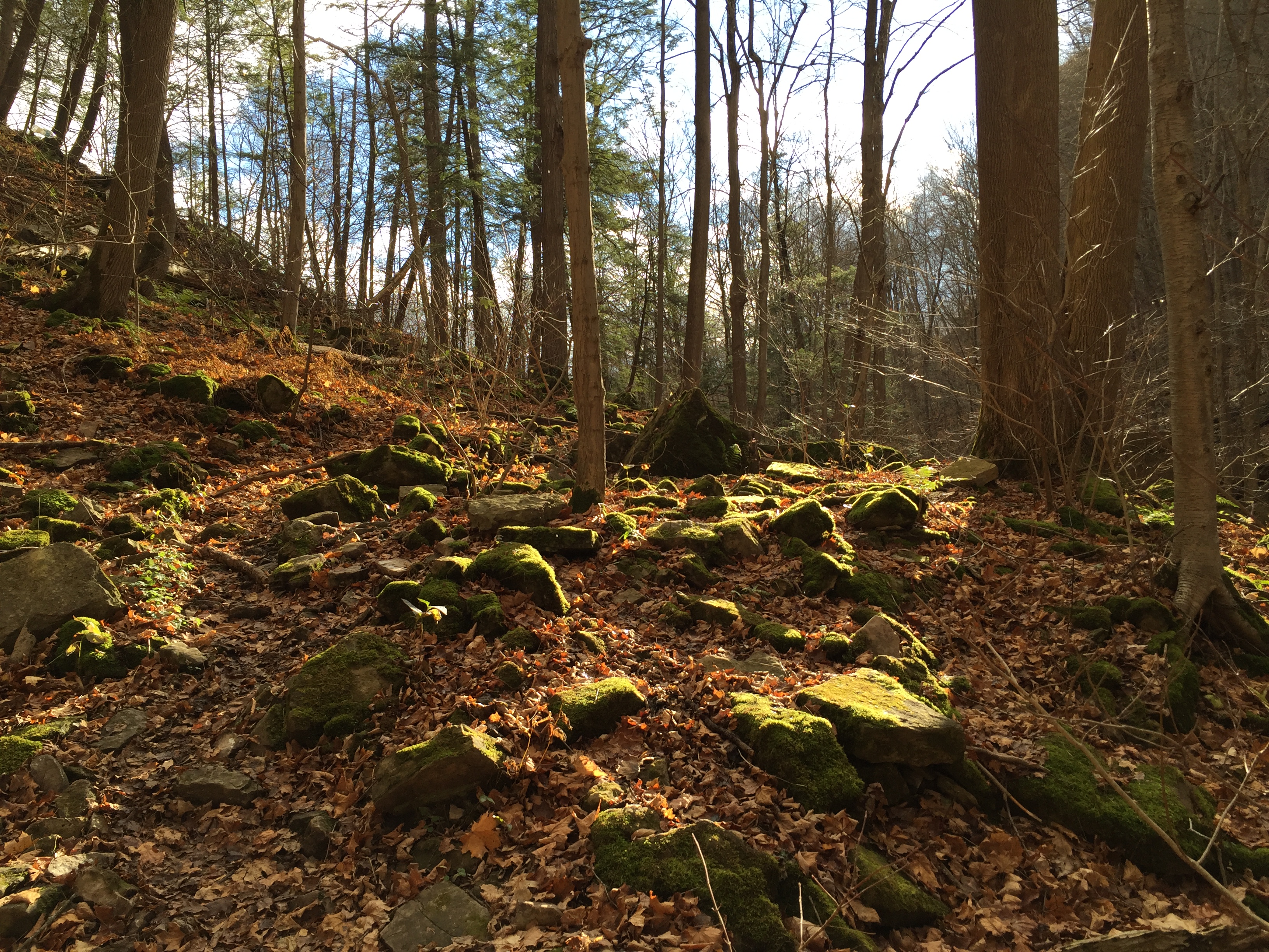Hike to Tews Falls