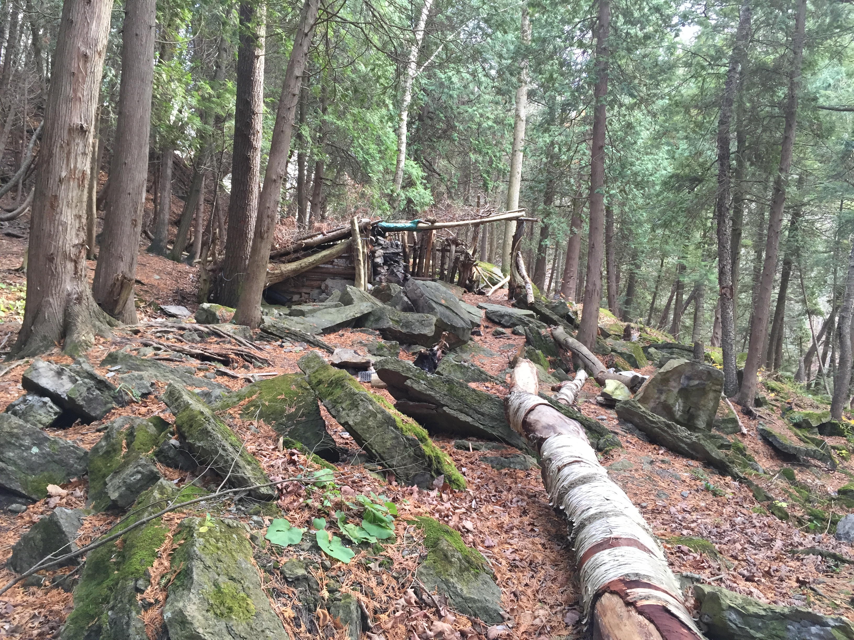 Hike to Tews Falls