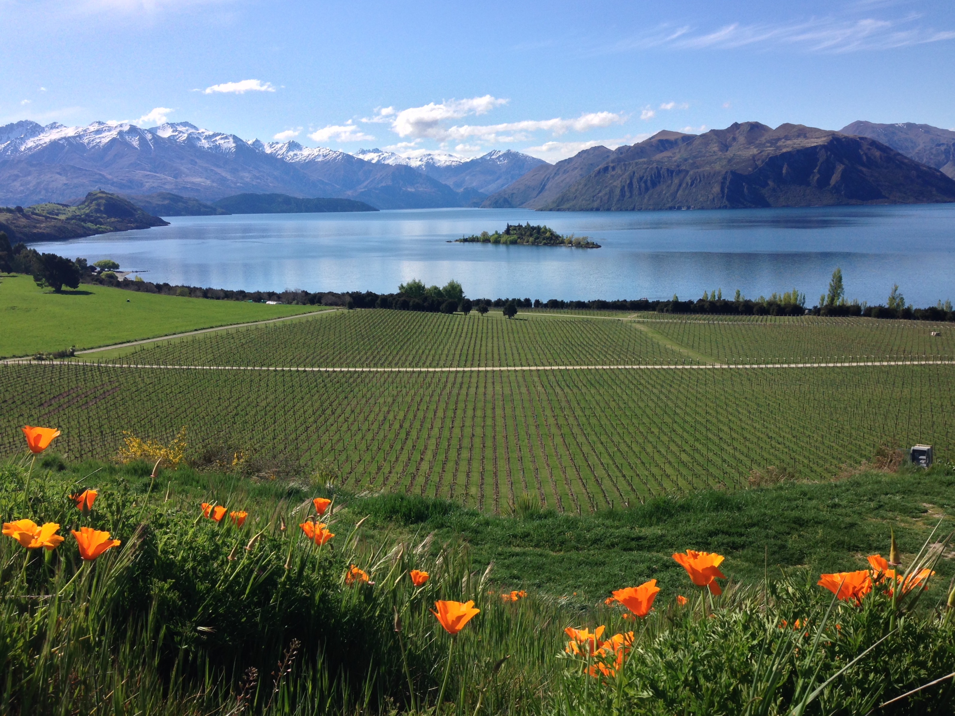 Hike along Wanaka's Waterfall Creek Track
