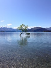 Hike along Wanaka's Waterfall Creek Track