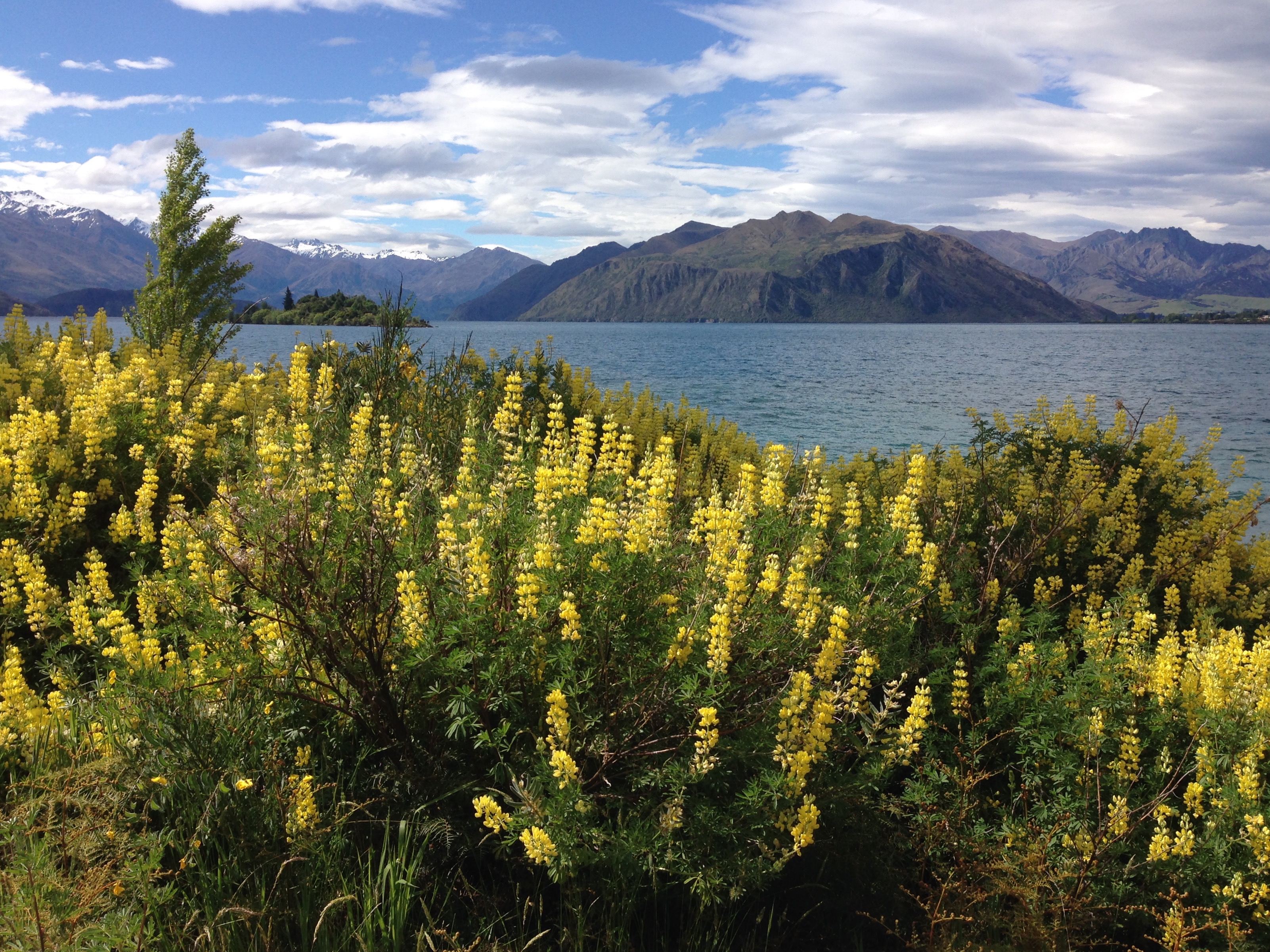 Hike along Wanaka's Waterfall Creek Track