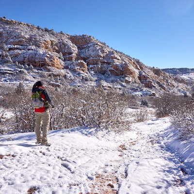 Hike the Coyote Song-Swallow Trail Loop