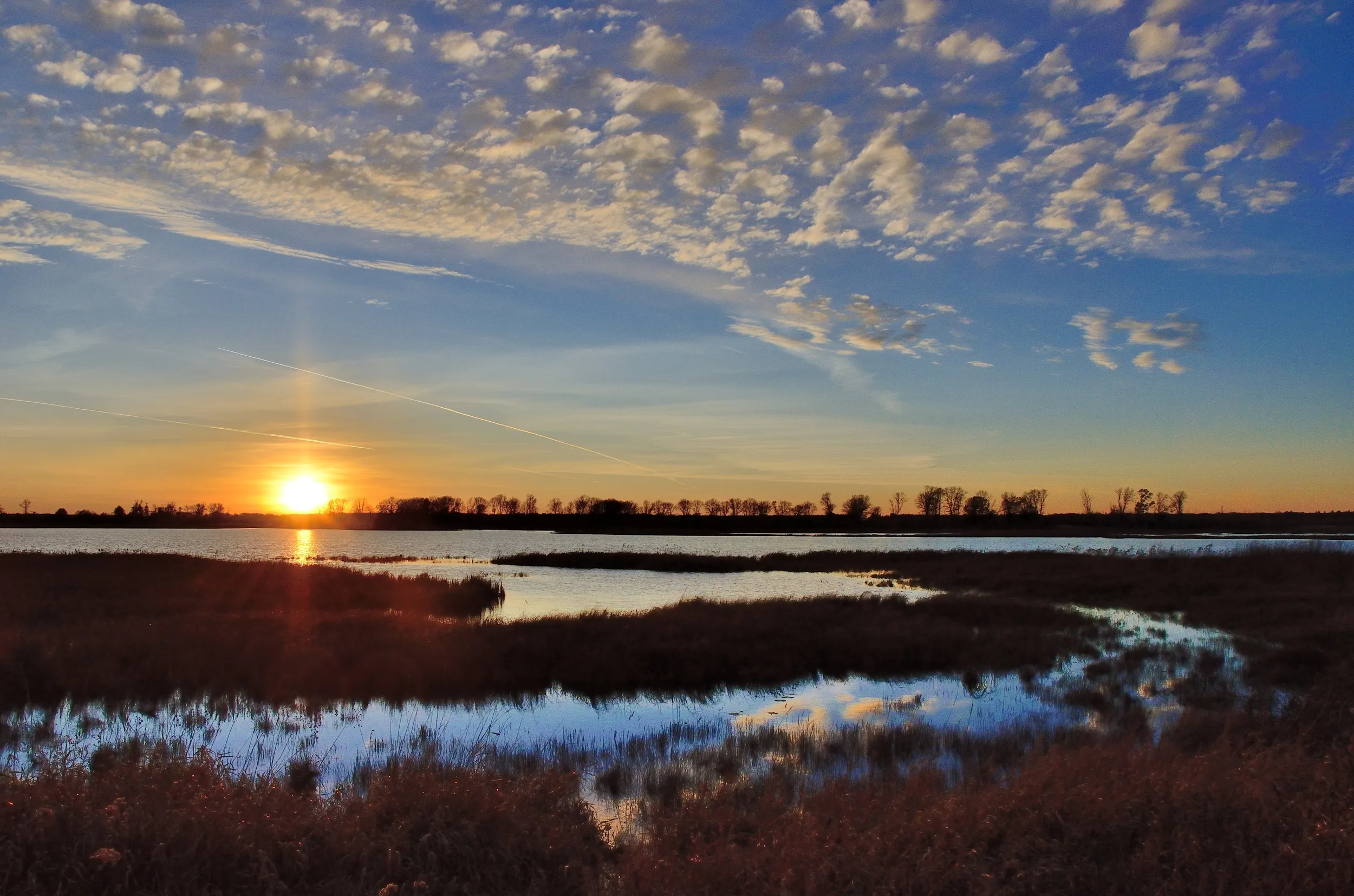 Explore Crex Meadows