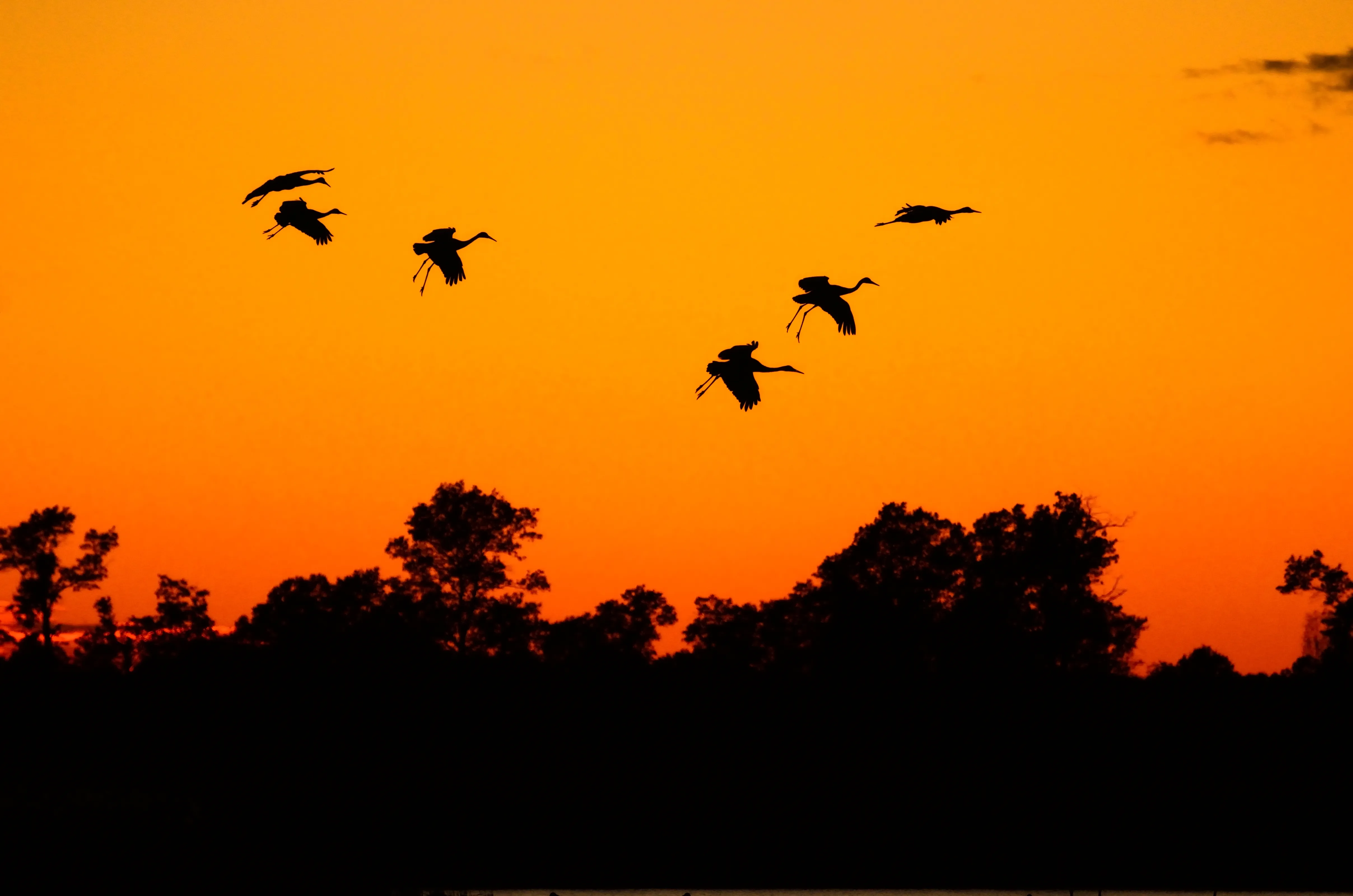 Explore Crex Meadows