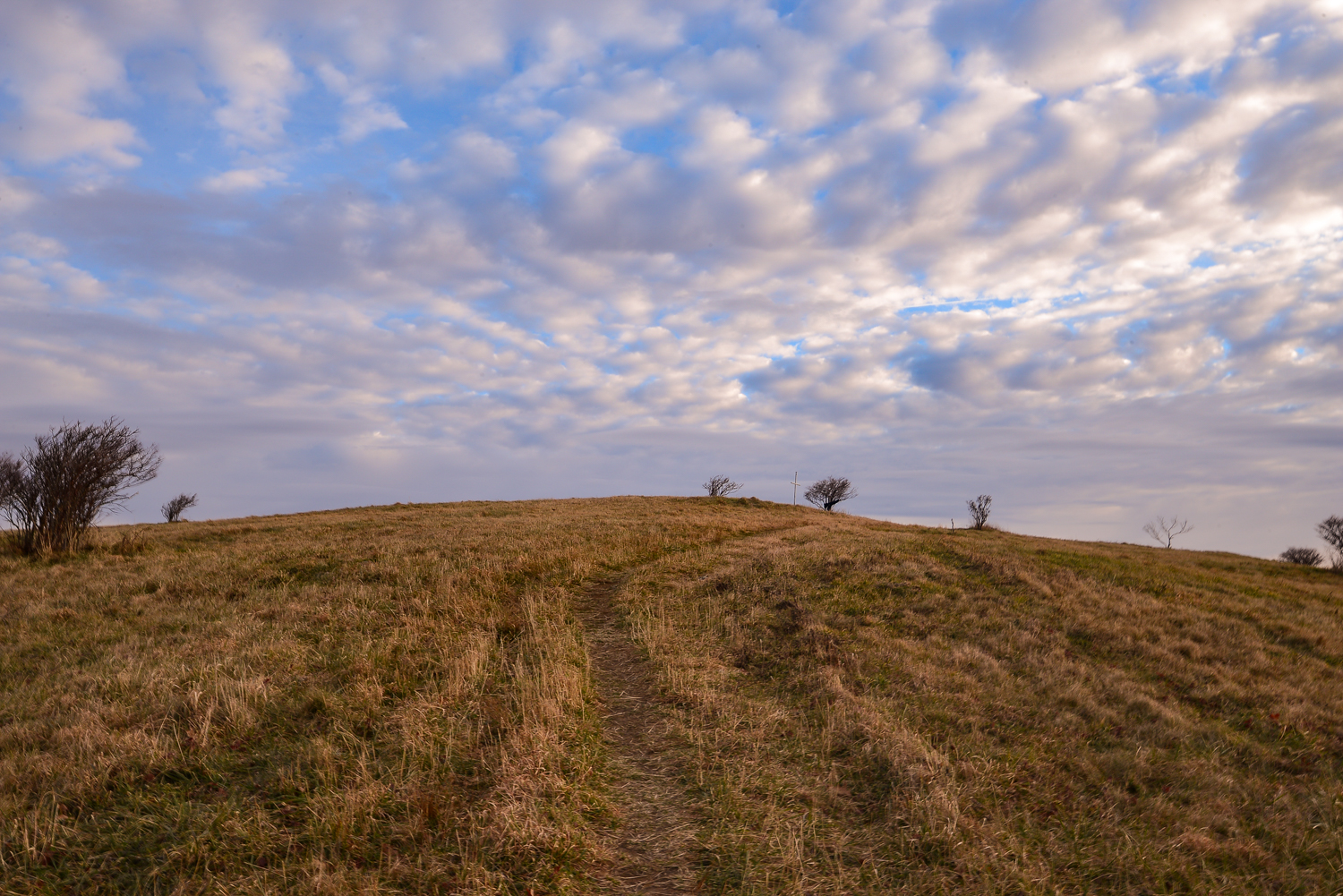 Huckleberry Knob