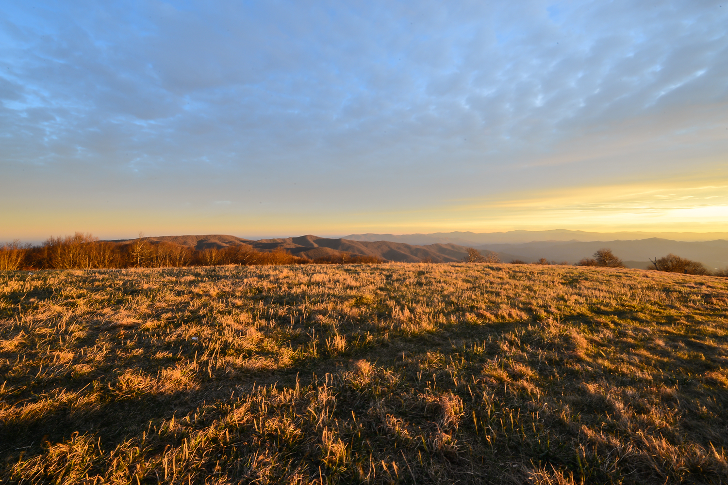 Huckleberry Knob