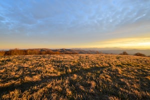 Huckleberry Knob