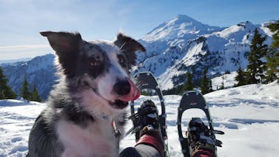 Snowshoeing at Mount Baker - Artist Point