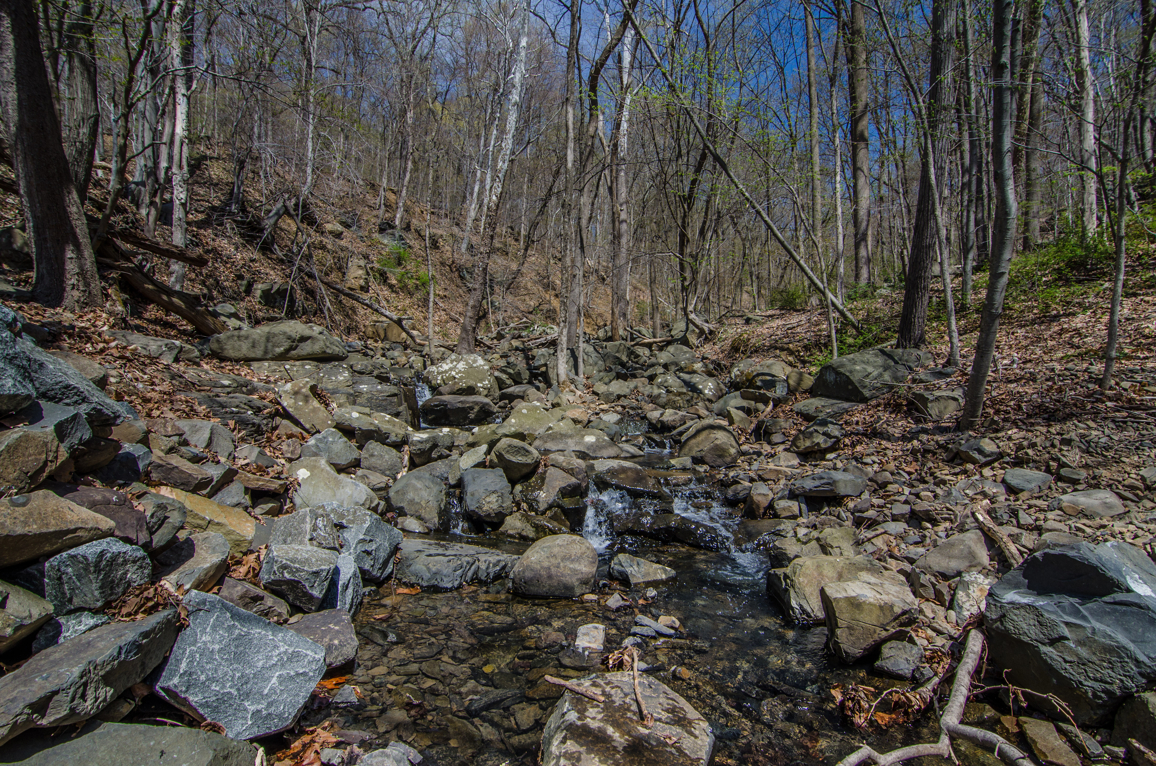 Explore Kugler Woods Waterfall