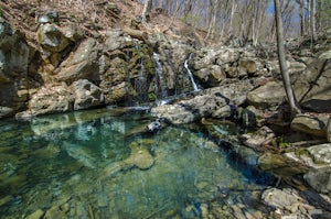 Explore Kugler Woods Waterfall