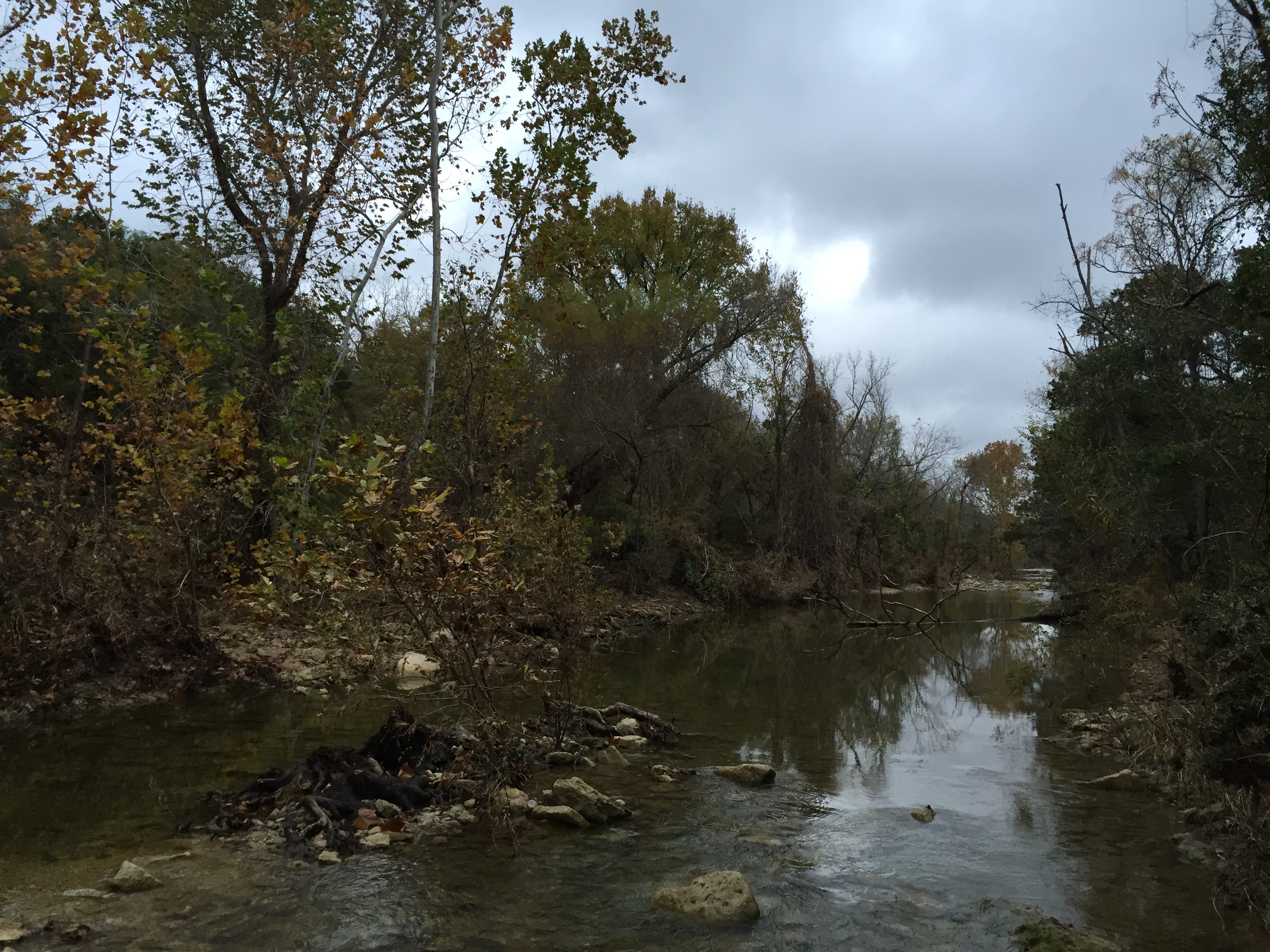 St. Edwards Park Greenbelt Loop