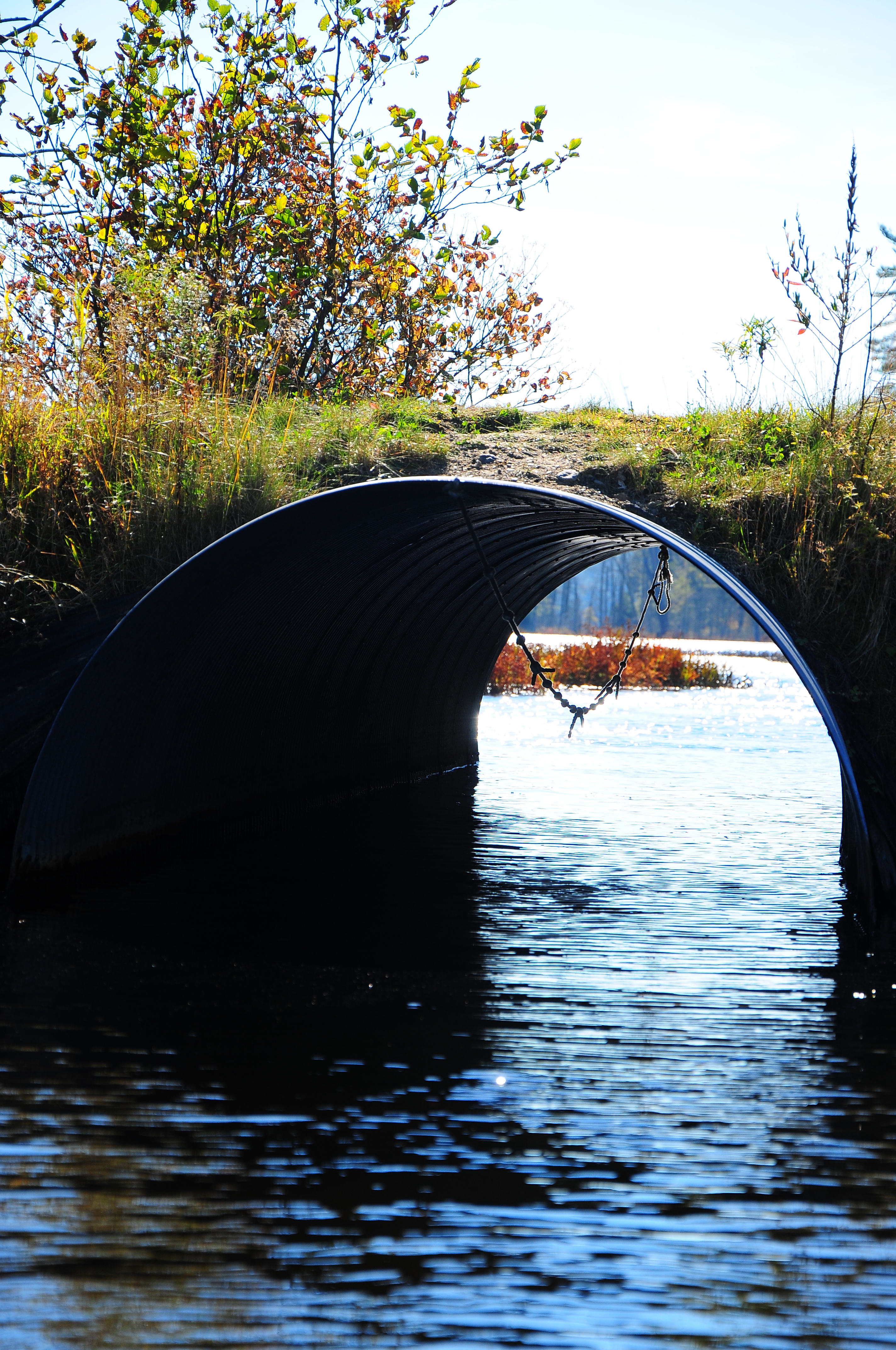 Paddle the Essex Chain of Lakes 