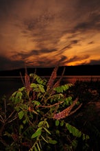 Capture a Sunset at the Colonie Town Park 