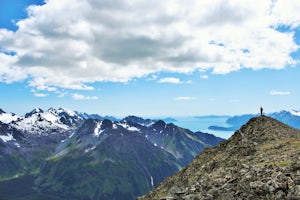 Climb Mount Alice