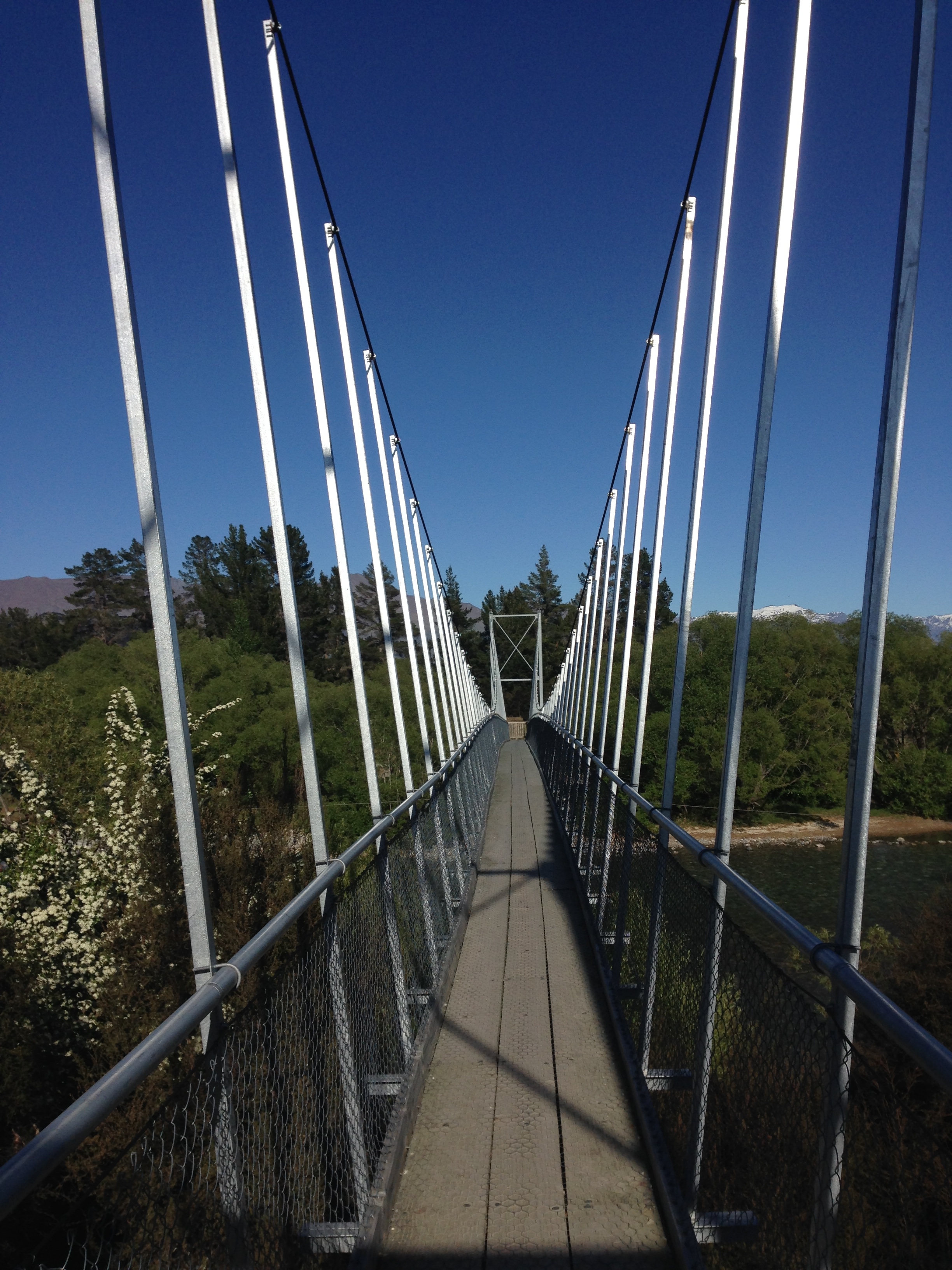 Bike along the Clutha River
