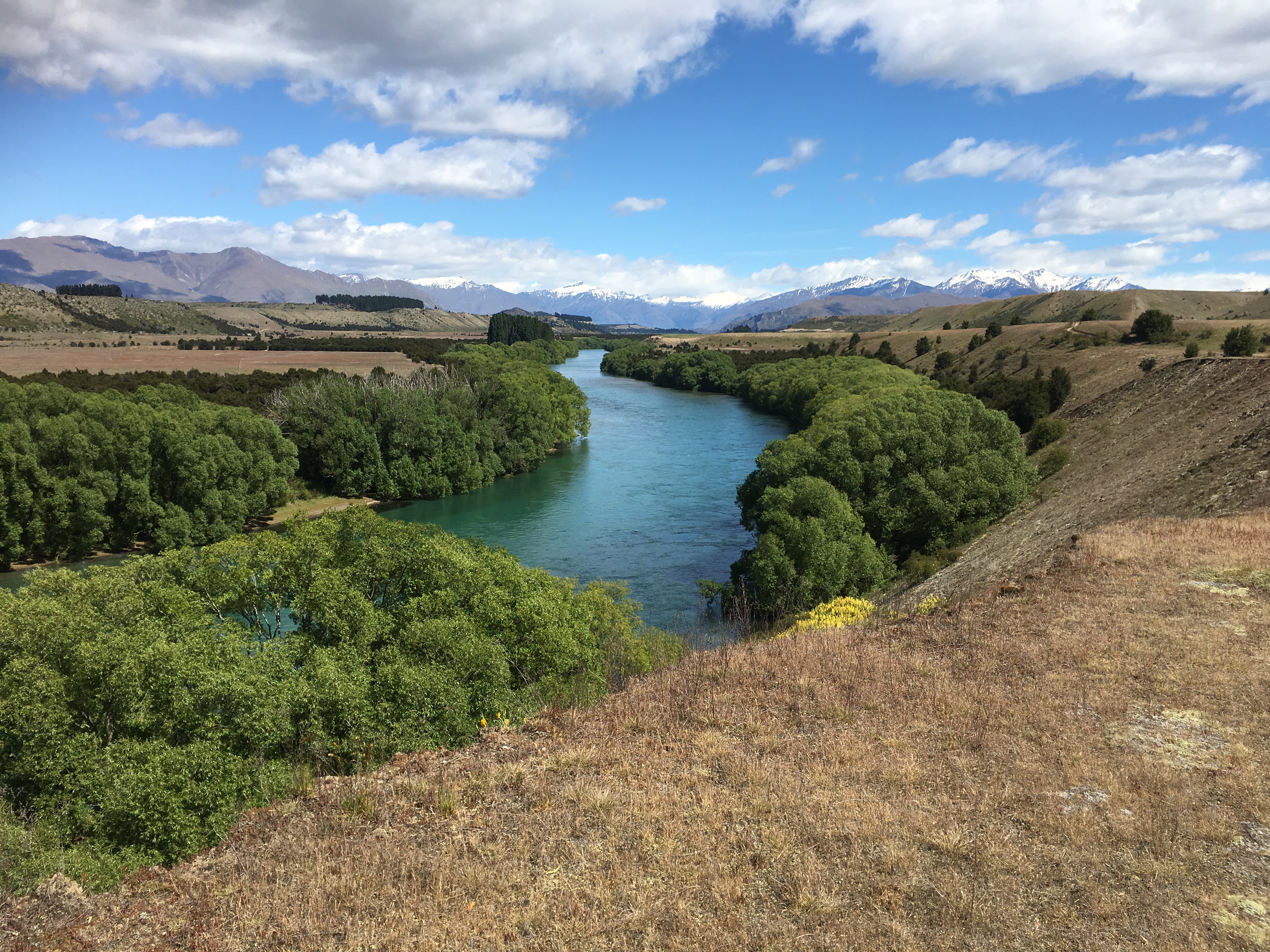 Bike along the Clutha River