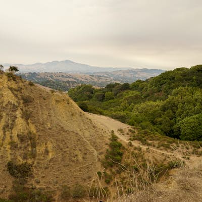 Hike to Hidden Labyrinths in the Oakland Hills