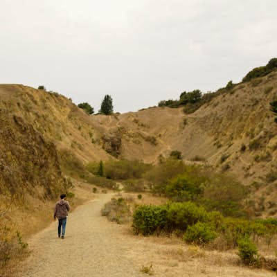 Hike to Hidden Labyrinths in the Oakland Hills