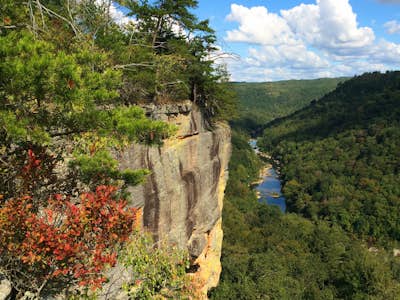 Backpack the The Linville Gorge