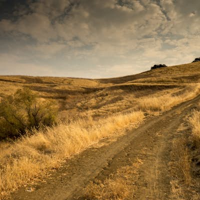 Run the Mt. Diablo Foothill Loop