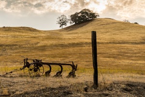 Run the Mt. Diablo Foothill Loop