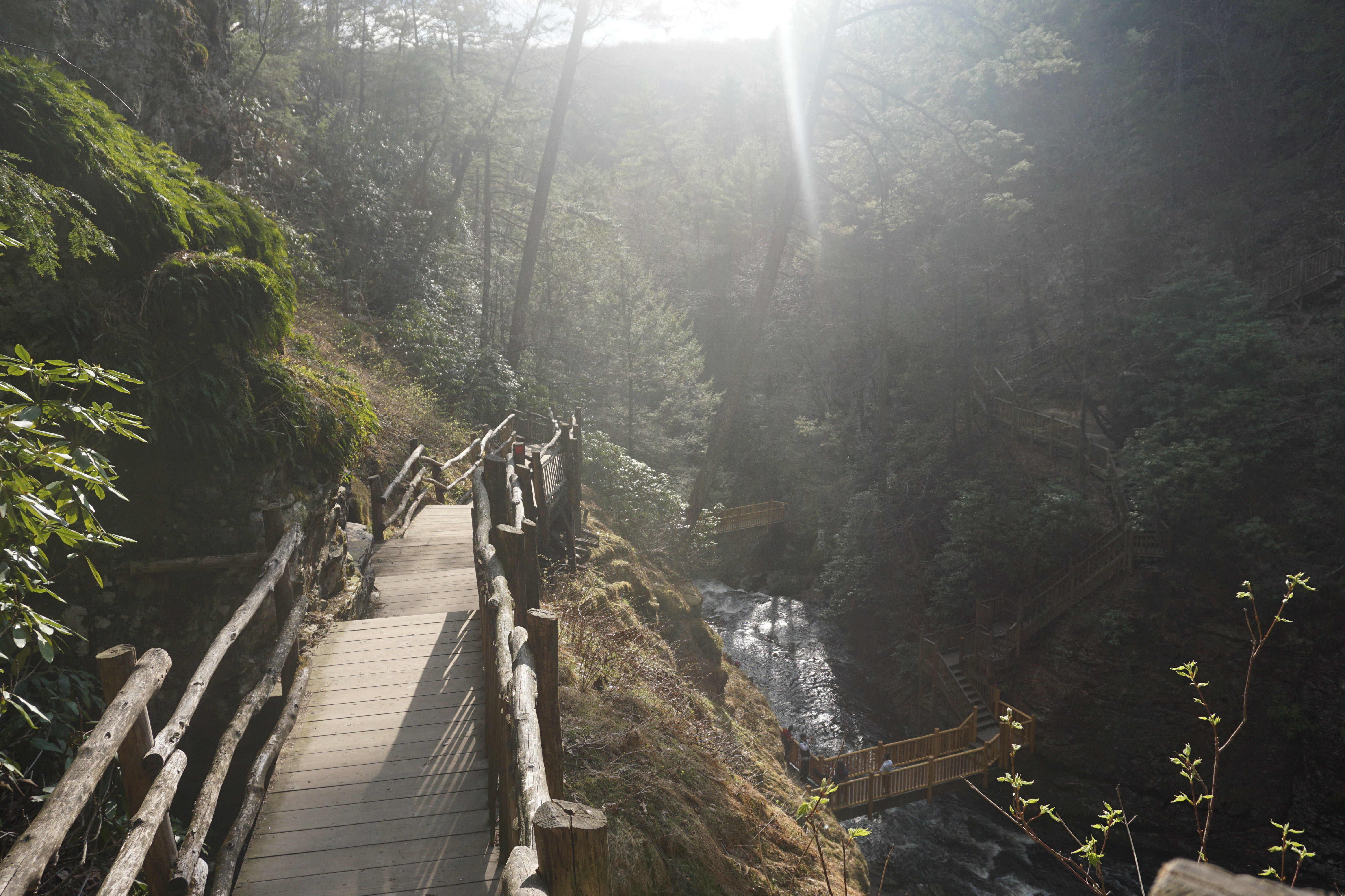 Bushkill Falls Loop