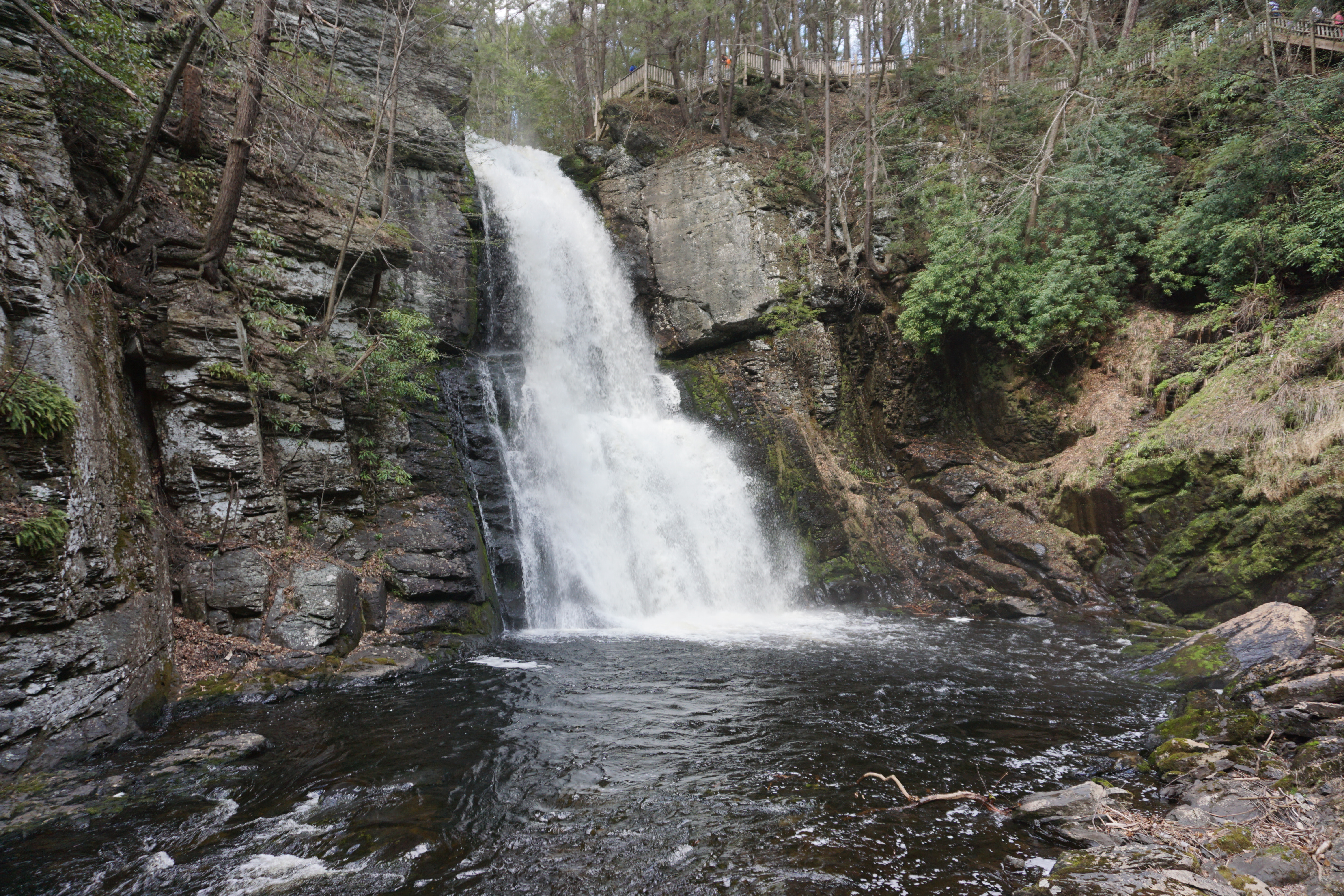 Bushkill Falls Loop