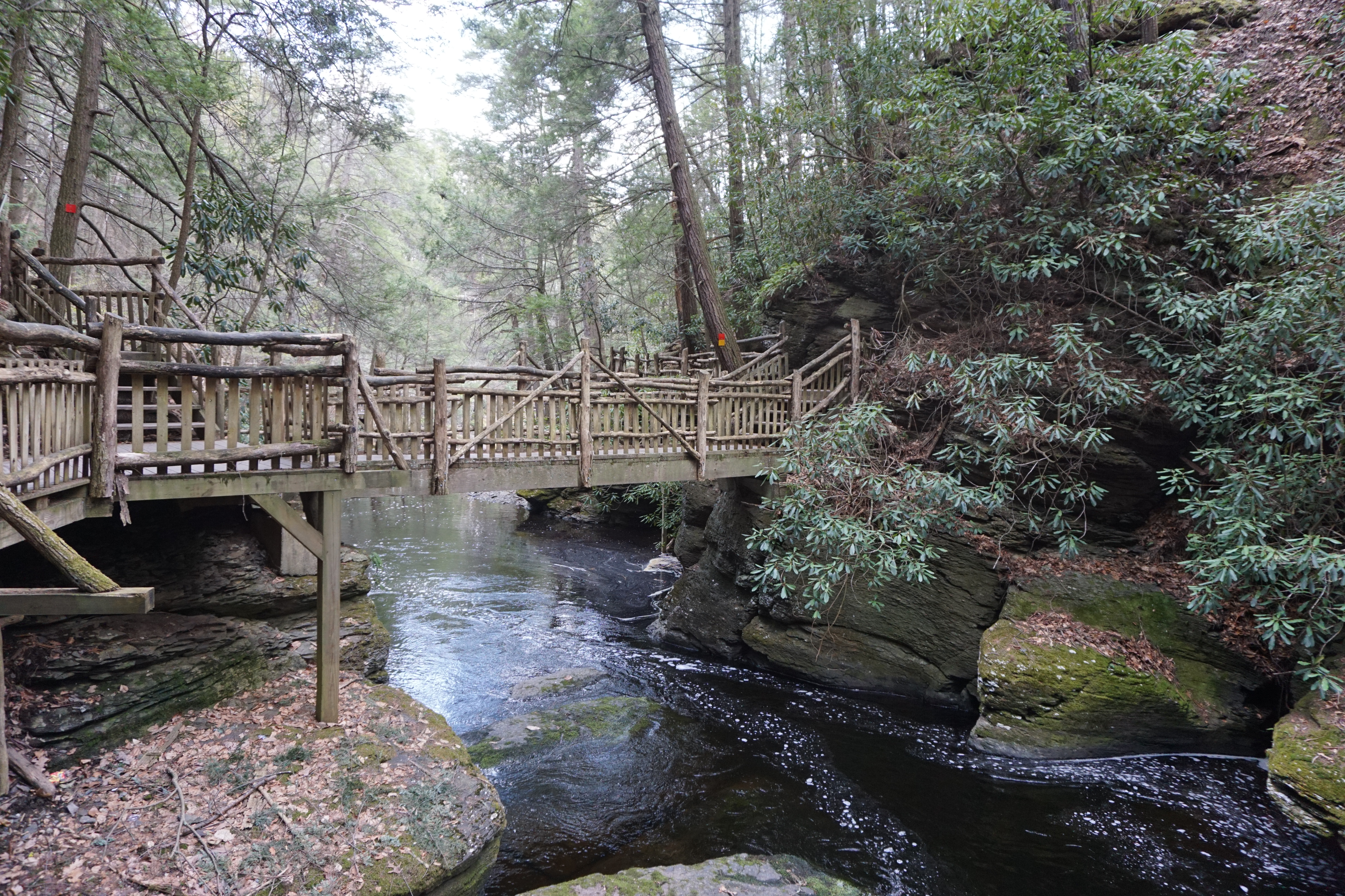 Bushkill Falls Loop