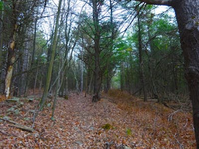 Hike the Keleher Preserve Loop