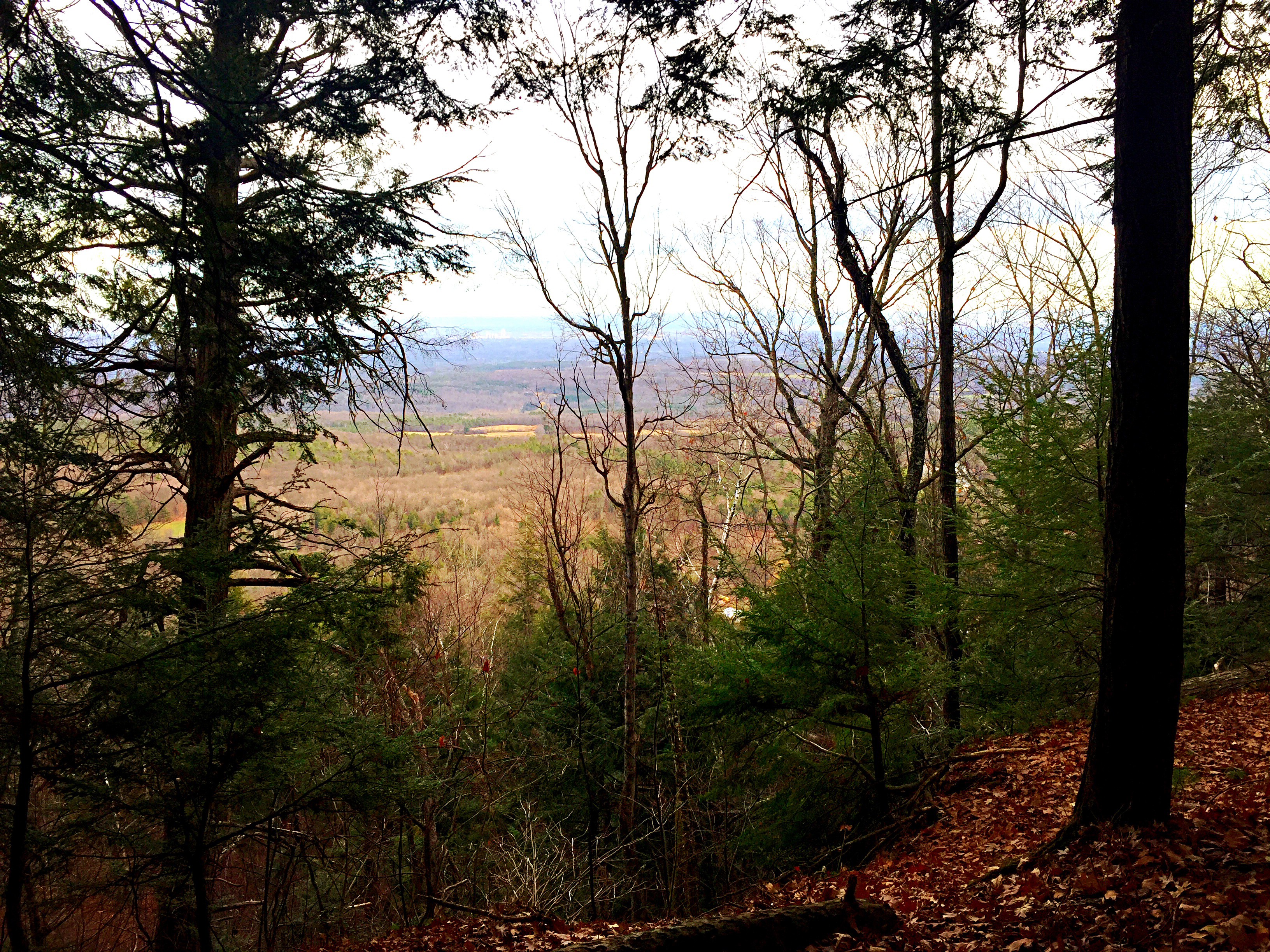 Hike the Keleher Preserve Loop, Voorheesville, New York