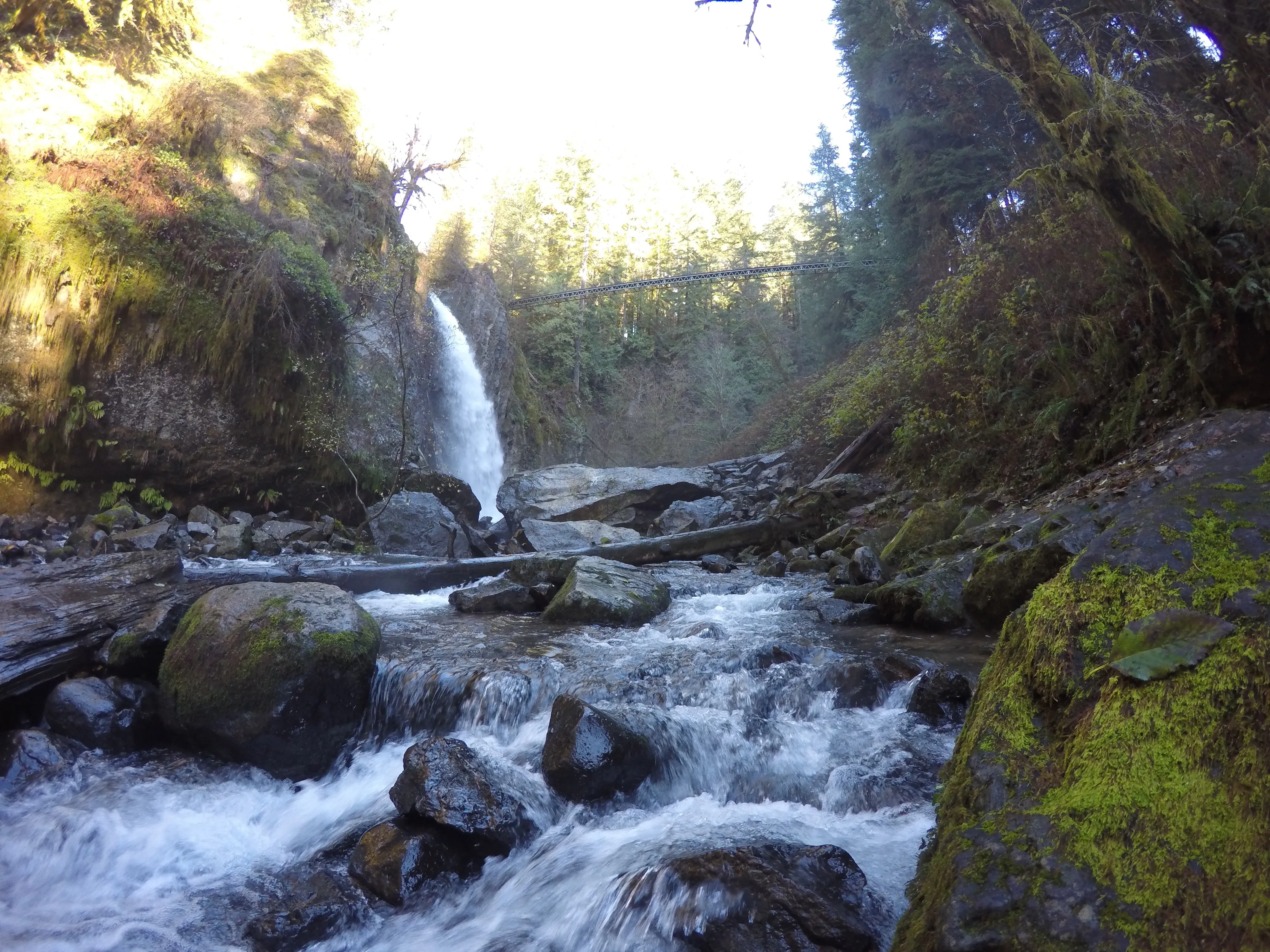 Drift Creek Falls