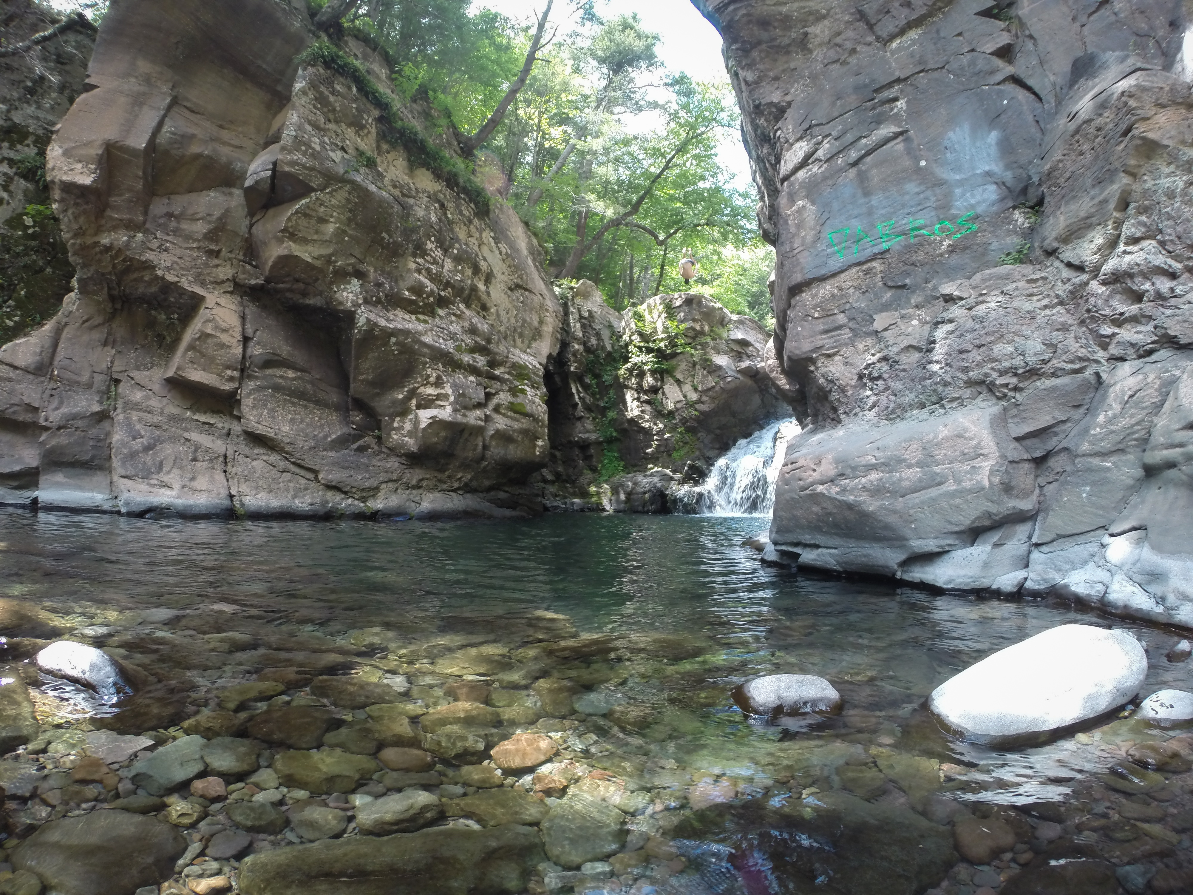 Fawns Leap