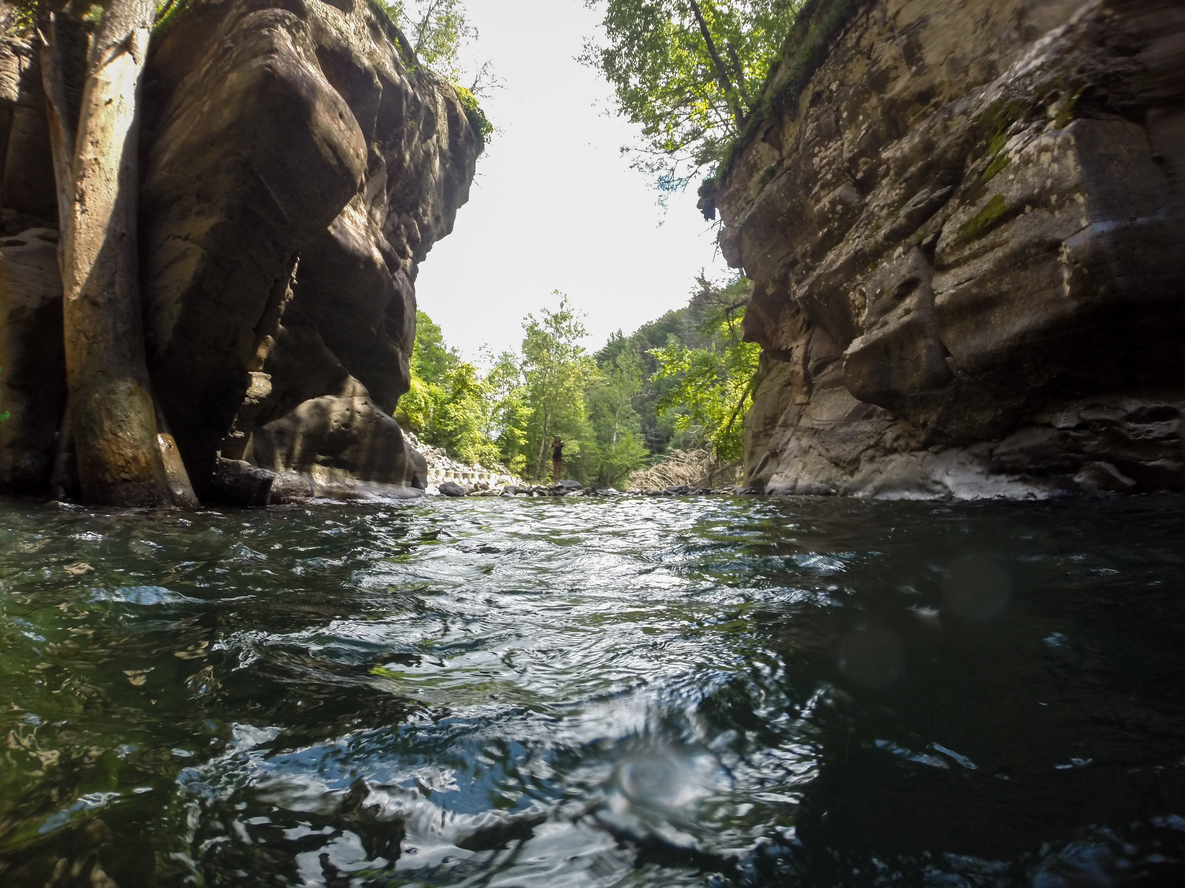 Fawns Leap