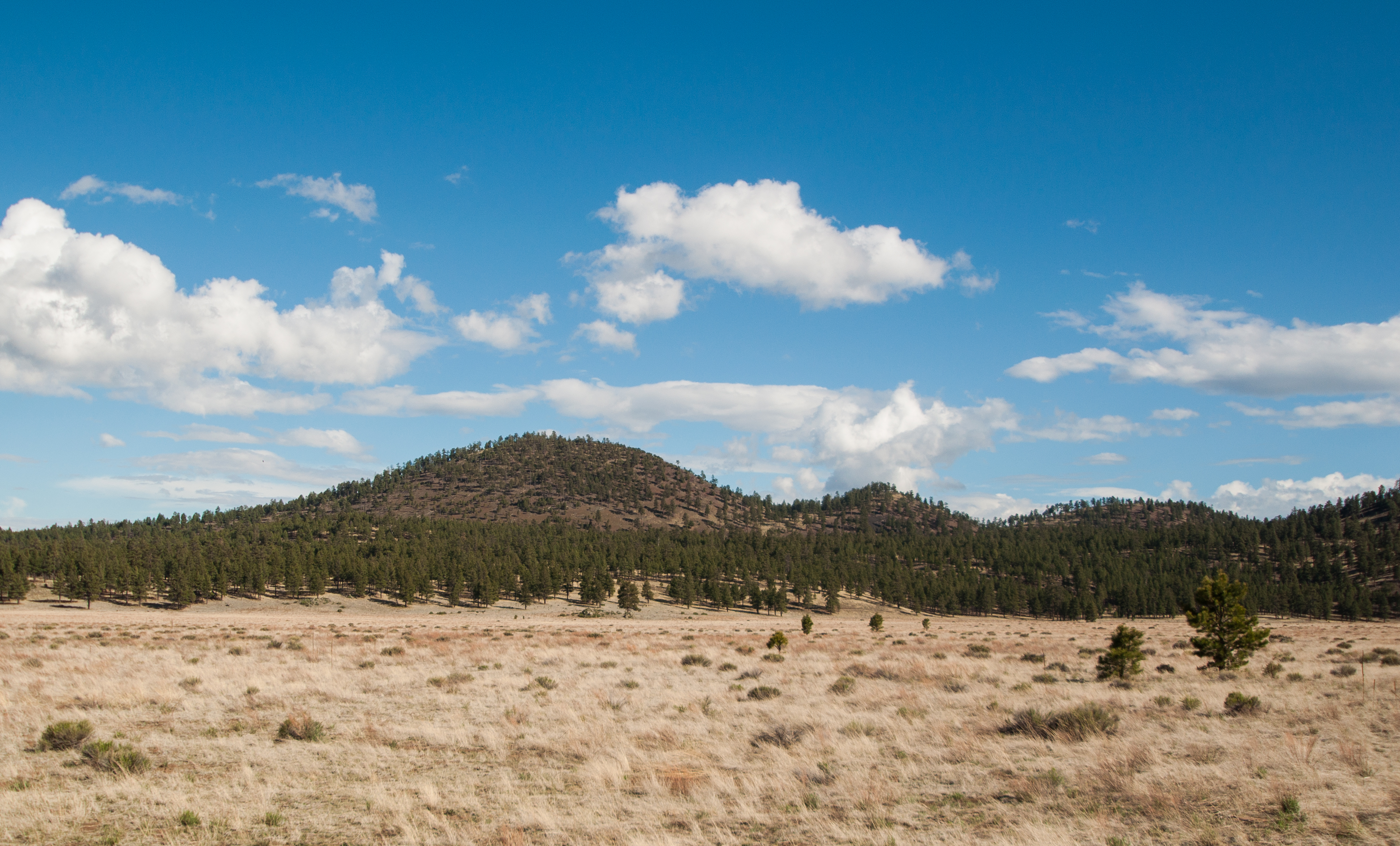 Camp in the Coconino National Forest