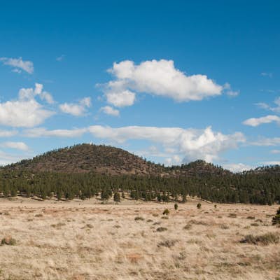 Camp in the Coconino National Forest