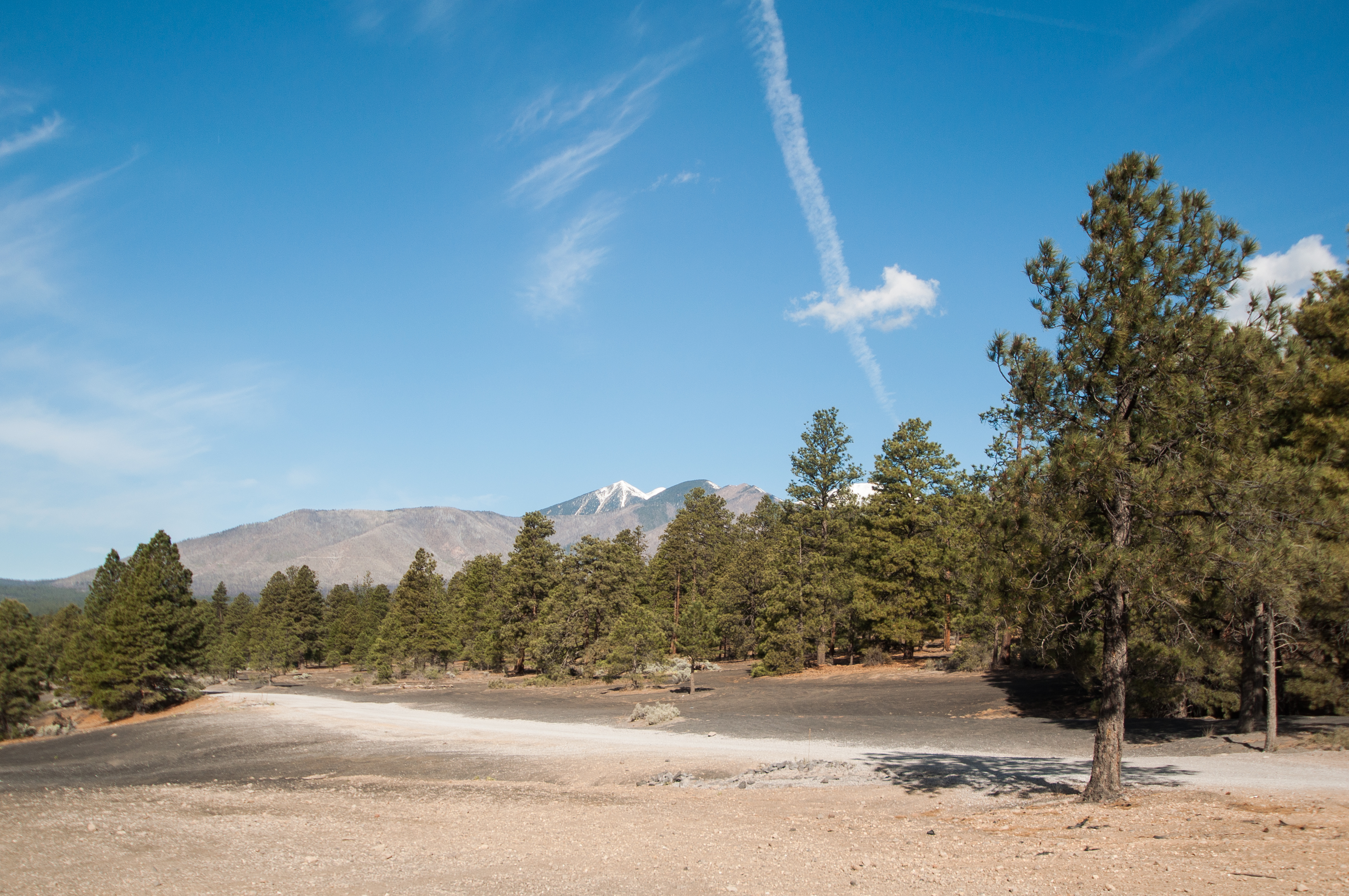 Camp in the Coconino National Forest