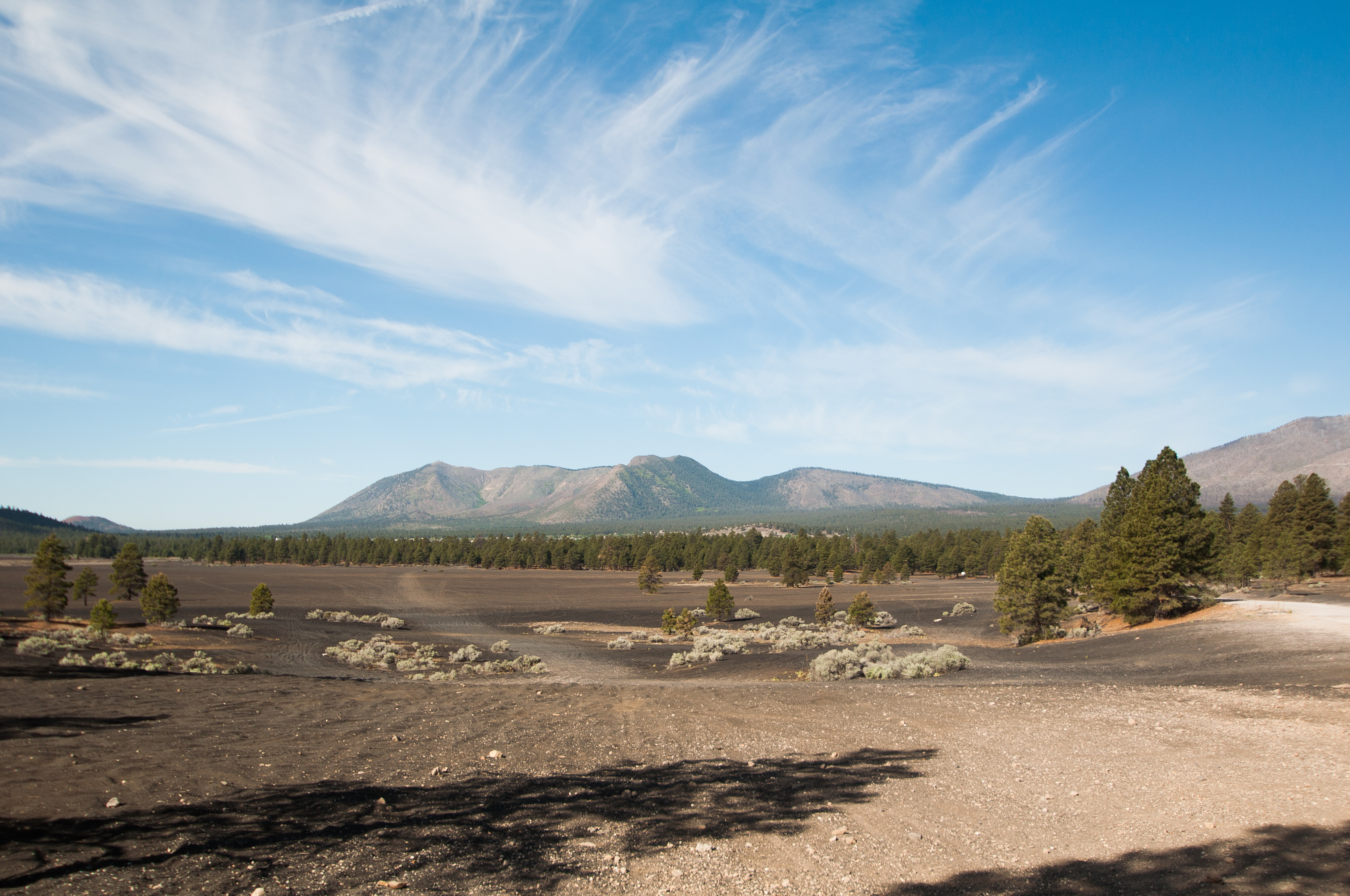 Camp in the Coconino National Forest