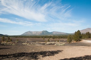 Camp in the Coconino National Forest