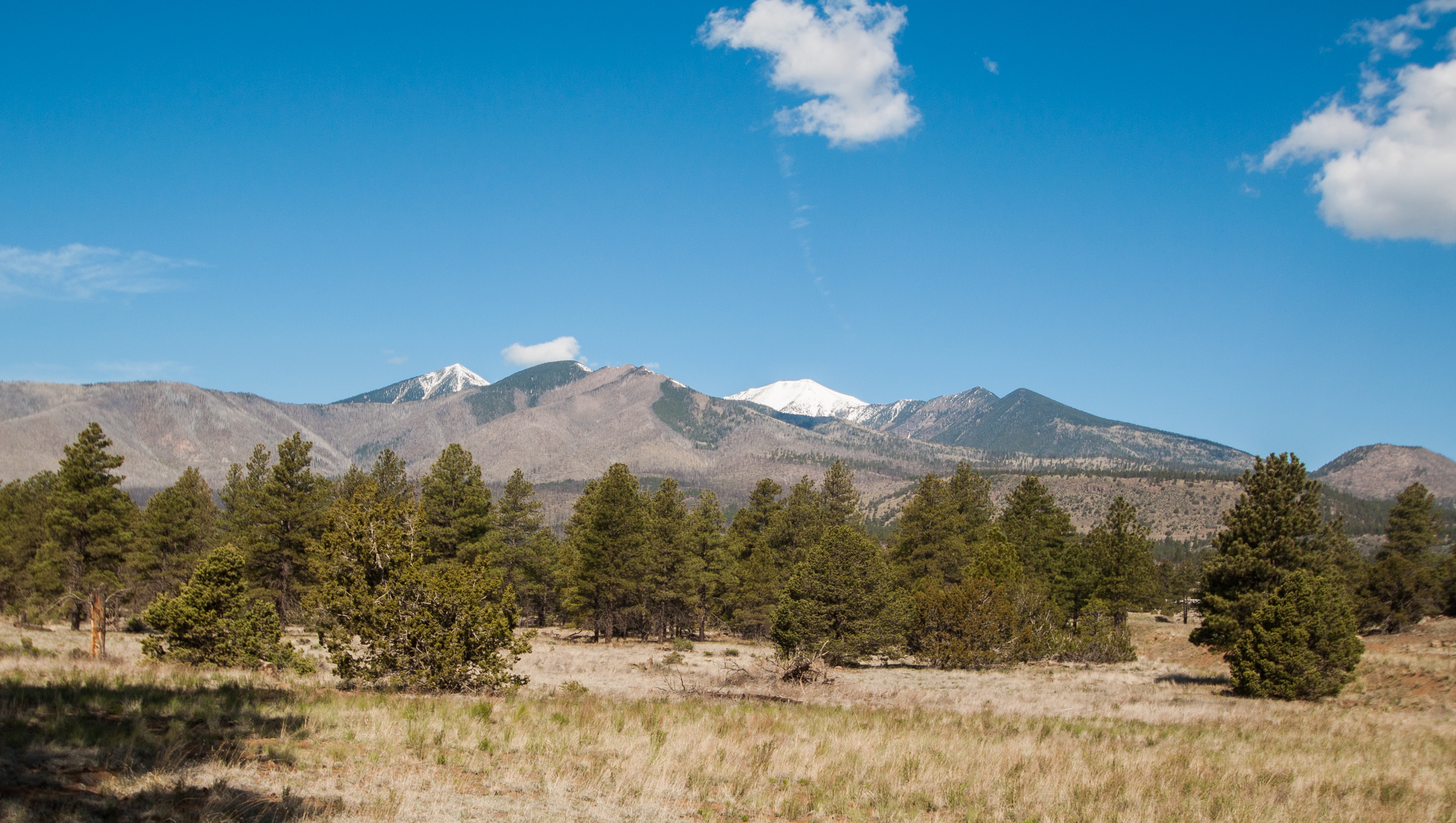 Camp in the Coconino National Forest