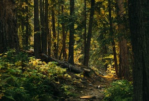 Hike to Bear Creek Falls